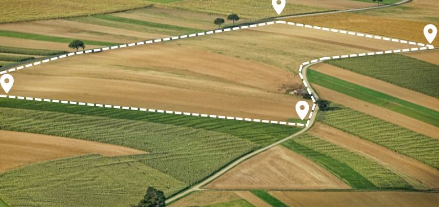  Artigo – Estremação de imóvel rural abaixo da fração mínima de parcelamento: O impasse da regularização fundiária