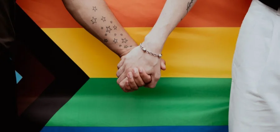 Baixe o novo infográfico da ANOREG/BR sobre Casamento Homoafetivo