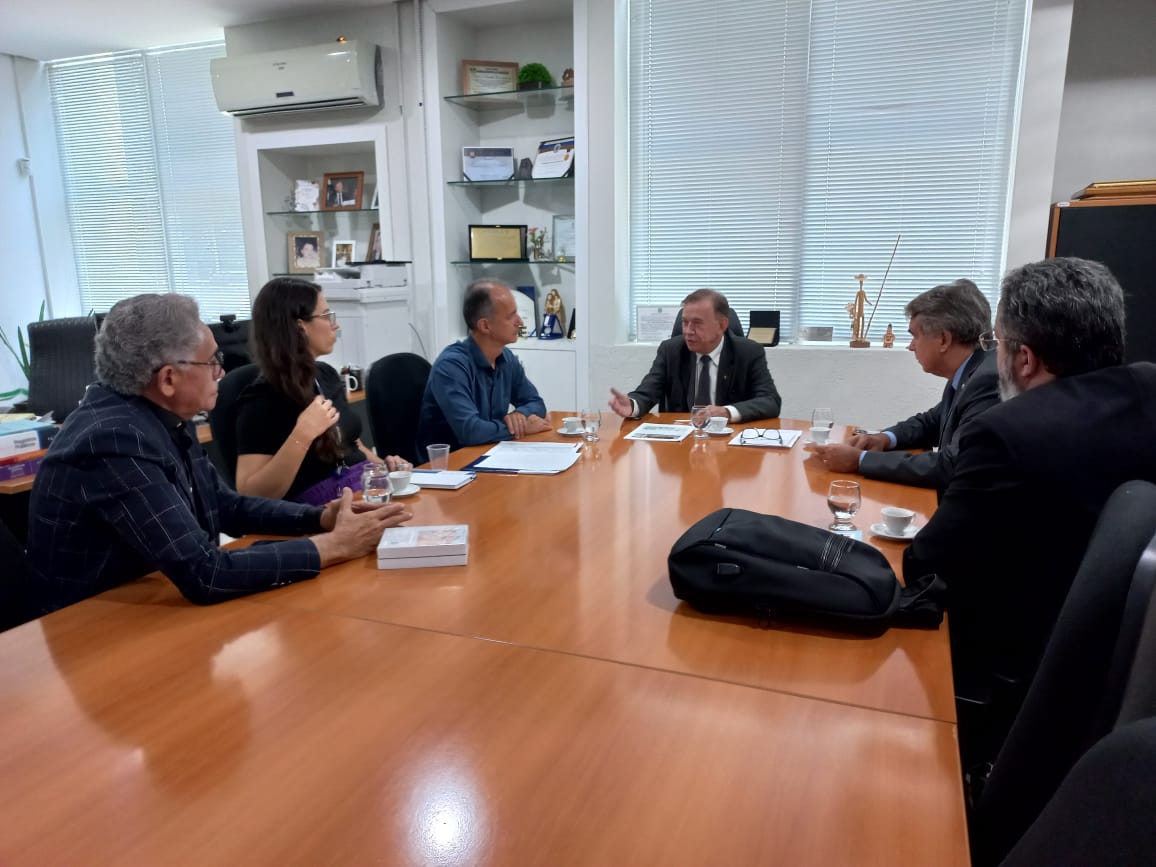 Reunião na CGJ discute aperfeiçoamento da coleta de dados junto às varas pelo IBGE