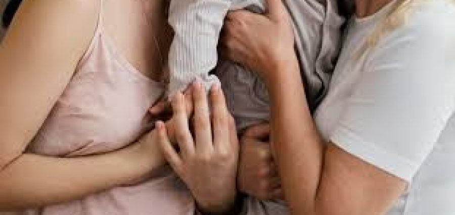  Inseminação caseira: Veja impacto jurídico da prática não regulada no país