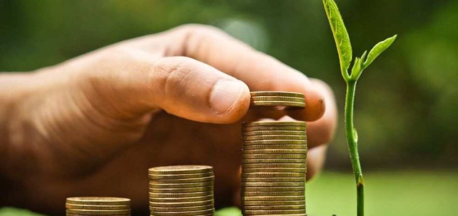 Projeto do crédito de carbono será votado nesta quarta-feira