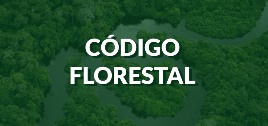 UFMG realiza estudo sobre o panorama do Código Florestal