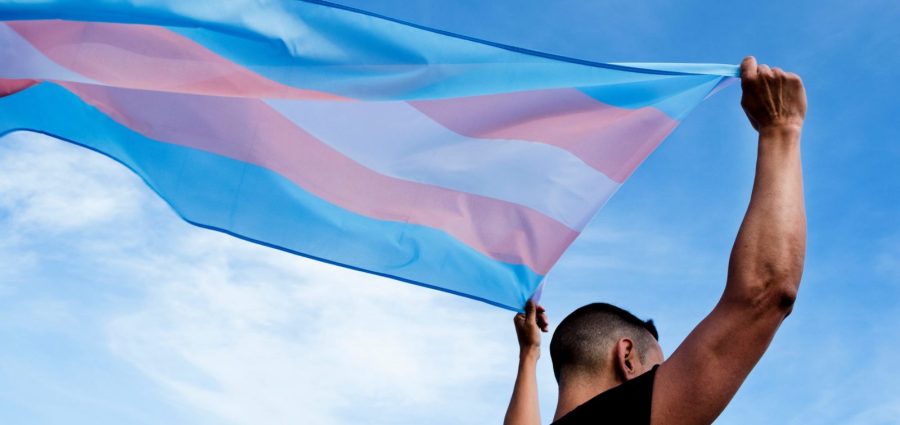  ANOREG/PB é destaque na mídia no Dia da Visibilidade Trans; Confira