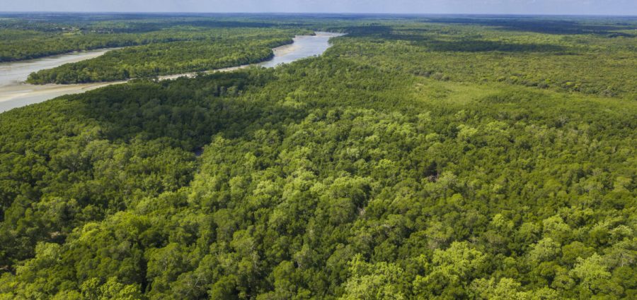 CNJ, Ministério da Justiça e UFPA se unem em busca da mediação de conflitos fundiários na Amazônia Legal