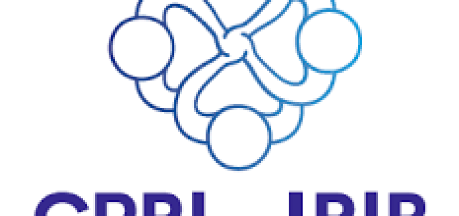  Você conhece a Comissão do Pensamento Registral Imobiliário do IRIB?