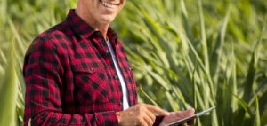 Lei permite uso do Cadastro Ambiental Rural para apurar área tributável pelo ITR