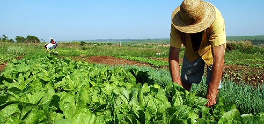 Resolução MDA n. 1 altera Resolução CFTCF nº 5/2024 que aprova o Regulamento Operativo do Fundo de Terras e da Reforma Agrária