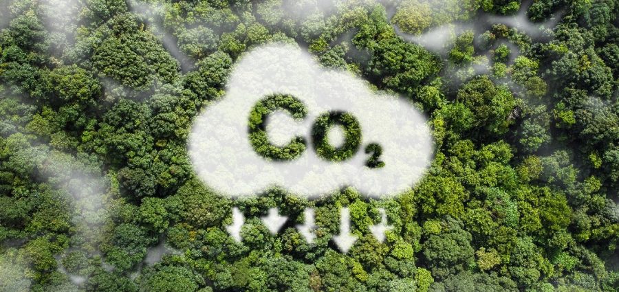 COP 30: Em audiência pública no Amazonas, CNJ reitera compromisso com carbono zero