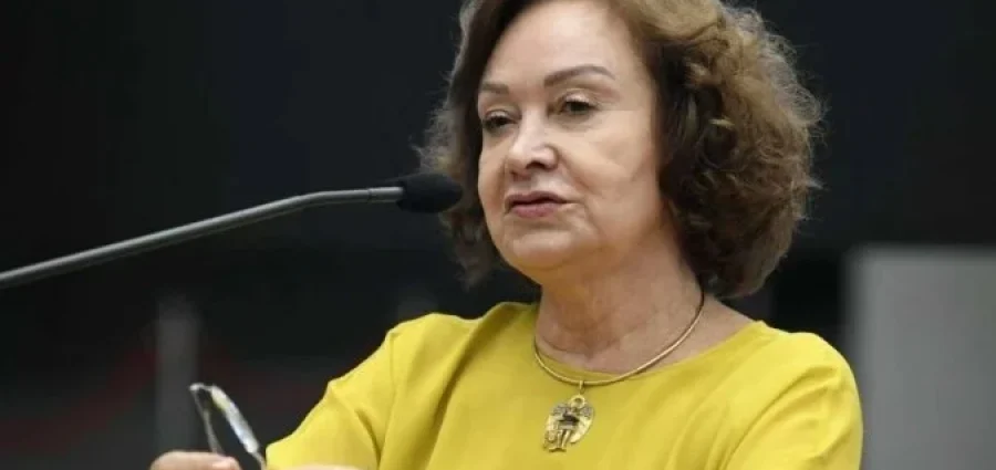  Informativo de Jurisprudência do STJ destaca possibilidade de retificação do registro civil para adoção de gênero neutro