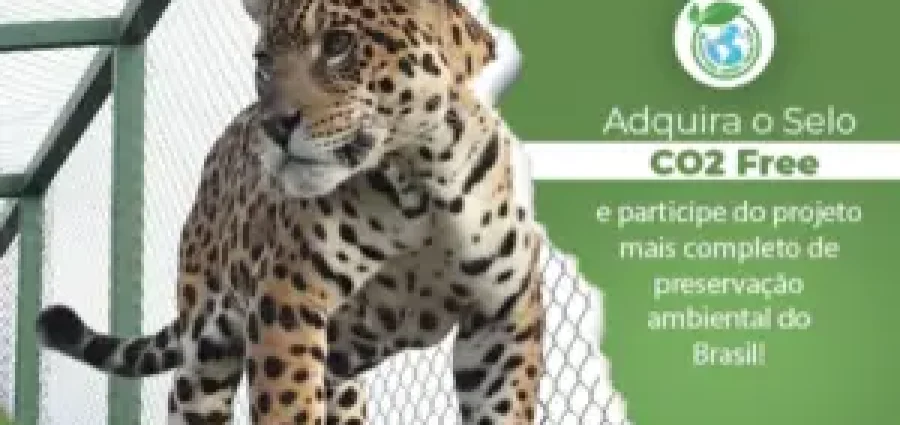 Selo CO2Free: compromisso ambiental dos Cartórios extrajudiciais do Brasil