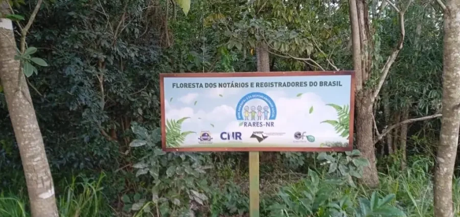 Floresta dos Notários e Registradores do Brasil: um marco ambiental para os Cartórios brasileiros