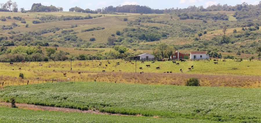 Resolução CMN n. 5.158, de 24 de julho de 2024