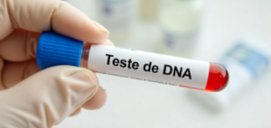  Artigo – Presunção de paternidade decorrente da recusa de exame de DNA